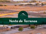 Venta de Terrenos en Paseo de los Pinos