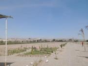 VENTA DE TERRENOS EN SAN CLEMENTE. PISCO