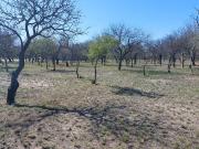 Venta de Terrenos en Villa Dolores Traslasierra Cordoba