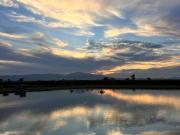 VENTA DE TERRENOS RESIDENCIALES EN AMECA JALISCO MEXICO