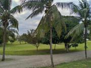 Venta de Terrenos majestuosa naturaleza en paso del toro...