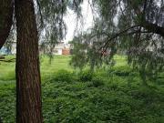 VENTA DE TERRERO CERCA DEL AIFA