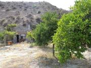 Venta de una finca en Instinción