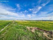 VENTA DE VIÑEDOS EN TUDELA DE DUERO