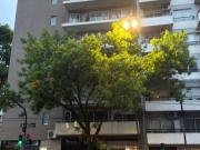 VENTA Departamento 2 Amb. Colegiales Muy Luminos