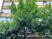 VENTA Departamento 2 Dormitorios con Cochera en Abasto,...