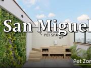 VENTA DEPARTAMENTO 2 DORMITORIOS SAN MIGUEL