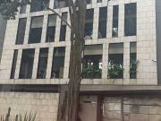 VENTA DEPARTAMENTO CALLE GOLDSMITH, POLANCO