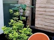 Venta Departamento, Colonia del Valle, Benito Juárez, 145M2