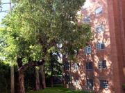 Venta Departamento con 3 Recámaras, Cuarto servicio en...