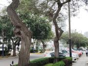 Venta Departamento de 1 dormitorio ideal airbnb sin...