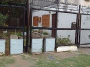 VENTA DEPARTAMENTO DE DOS DORMITORIOS PH