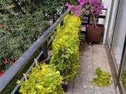 Venta Departamento en la Col. del Valle