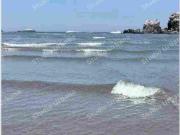 VENTA DEPARTAMENTO EN MALECÓN FRENTE Al MAR