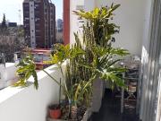 venta departamento Nuñez dúplex 3Amb Reciclado mts...