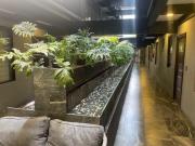 VENTA DEPARTAMENTO SANTA MARIA LA RIBERA BUENAVISTA