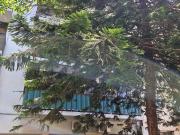 VENTA DEPTO 2 AMBIENTES EN FLORES