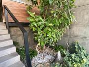 Venta depto a un costado de Cd. Satélite