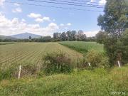 Venta dos hectáreas en salida salamanca 70m x 285m