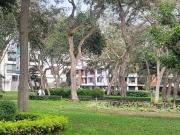 VENTA DUPLEX EN SAN BORJA DPT 502 609 957 17
