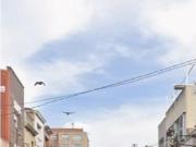 VENTA EN CONDICIONES ESPECIALES MODALIDAD CESIÓN DE REMATE