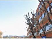 VENTA EN CONDICIONES ESPECIALES MODALIDAD CESIÓN DE REMATE