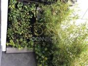 Venta en Polanco 3R/2B/2E A estrenar 170m2 Terraza