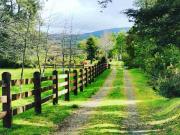 Venta Encantadora Parcela en Los Lagos