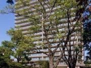 Venta Espectacular Pent Garden Bosque San Ángel Venta Espectacular Pent Garden Bosque San Ángel