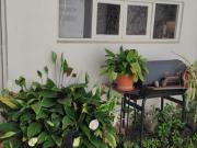 Venta espectacular PH en San Fernando 3ambientes jardín...