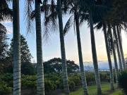 Venta espectacular Quinta Agricola de 3 hectáreas en Checa