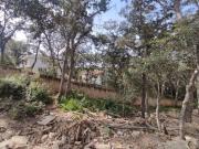 Venta Estupendo Terreno en Sayavedra