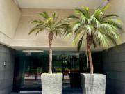 Venta Excelente Departamento Para Remodelar, Rubén Darío