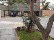 VENTA EXCELENTE DPTO. SURCO, 1ER. PISO, CALLE SAN JUAN 2XX