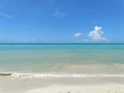 Venta Exclusiva en Sisal: Tu Terreno Frente al Mar a un...