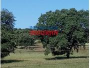 Venta Fazenda Alcolea De Tajo Alcolea De Tajo DS95151493 Venta Fazenda Alcolea De Tajo Alcolea De Tajo DS95151493