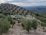 Venta Fazenda Lucena Córdoba DS83121900