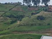 VENTA FINCA 4000 mts2 EL CARMEN DE VIBORAL VEREDA ALTO...