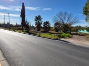 VENTA FINCA 5,8 HECTAREAS CORRALITOS GUAYMALLEN