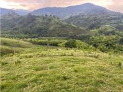 VENTA FINCA 8 CUADRAS AVENIDA CENTENARIO ARMENIA