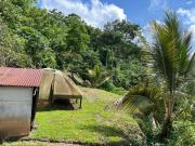Venta Finca Agrícola Maceo Antioquia