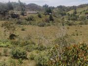 Venta Finca Agrícola y Ganadera Concepción Antioquia