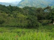 Venta Finca Agrícola y/o Ganado Angelópolis Antioquia