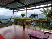 VENTA FINCA ALTO BONITO MANIZALES CON RENTAS | FINCAS EN...