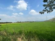 Venta finca arrocera junto al Río Daule, Taura, Guayaquil