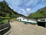 VENTA FINCA CAFETERA ANDES SUROESTE ANTIOQUEÑO