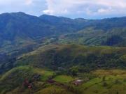 VENTA FINCA CAFETERA EN SAN JOSÉ – PEREIRA / VA LA FLORIDA ☕