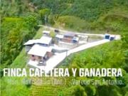 Venta Finca Cafetera Ganadera Montebello..! Bajo de Precio!