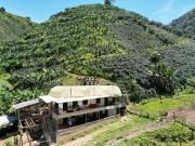 Venta Finca Cafetera y Ganadera Santa Rita Andes Antioquia