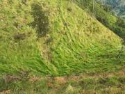 VENTA FINCA CAJAMARCA COLOMBIA 3156194358